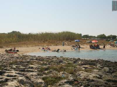 La spiaggia � circondata da bassi scogli e ad accrescere la particolarit� del luogo contribuiscono i numerosi alti fusti delle canne che spuntano selvagge sullo sfondo. Qui insomma non si sta per niente male